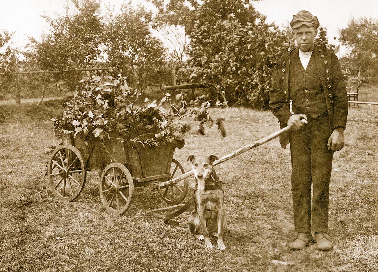 Erinnerung an das beschwerliche Landleben um 1900   Erinnerung an das beschwerliche Landleben um 1900